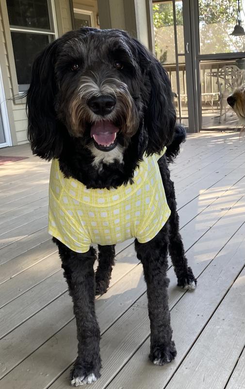 AnyBuddy Lush Jersey Pet Shirt Yellow A566982