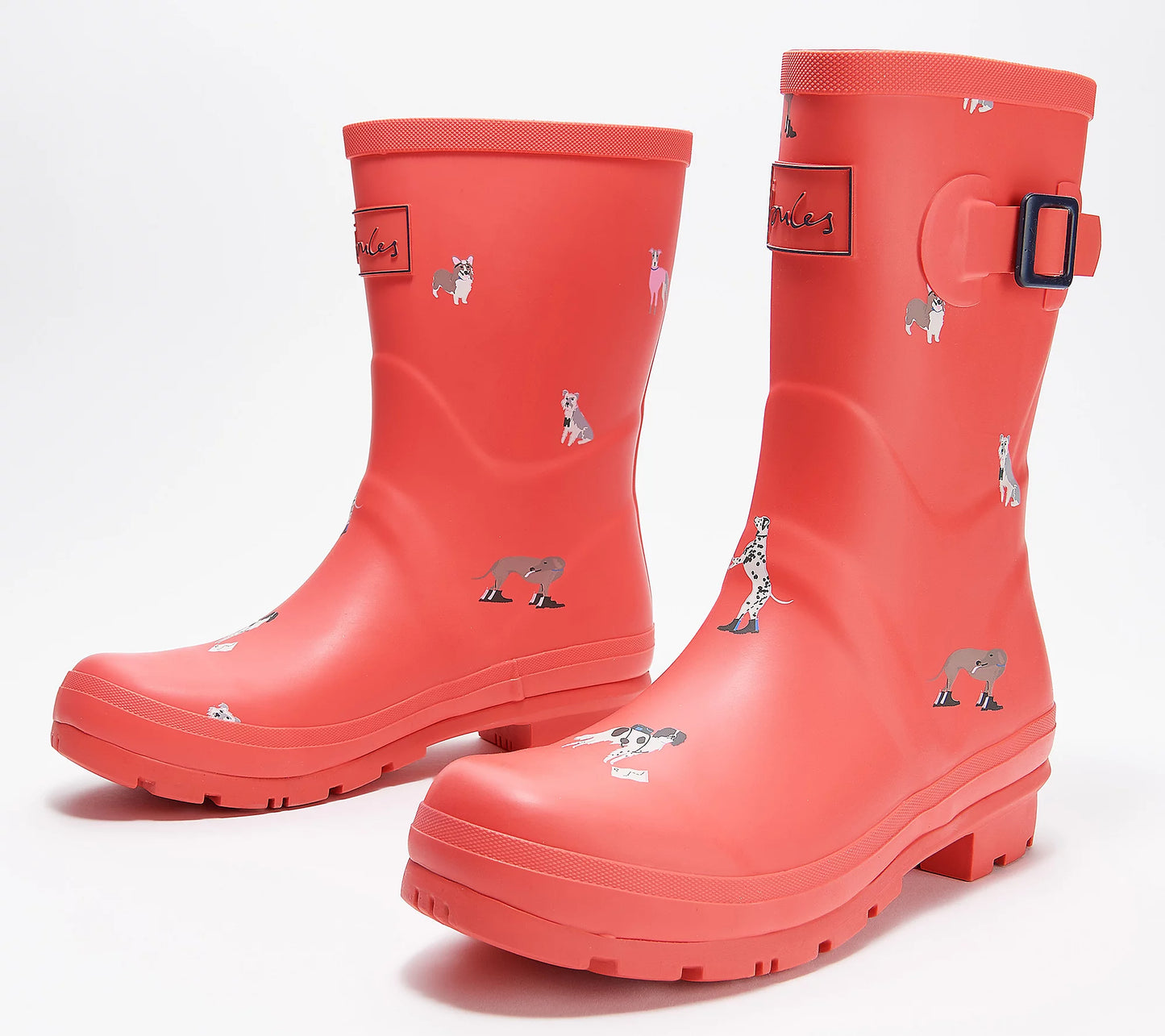 Joules Women’s Waterproof Mid Rain Boots Molly Welly Molly Welly